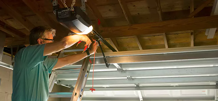 Garage Door Opener Sales and Installation Rock Island