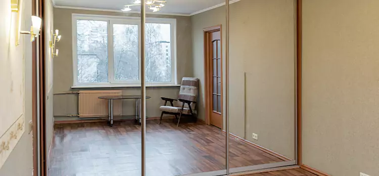 Mirror Closet Door Roller Replacement Rock Island